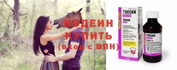 СК Волоколамск