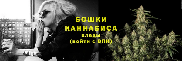 СК Волоколамск
