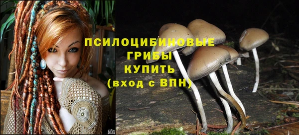 молекула духа Волосово