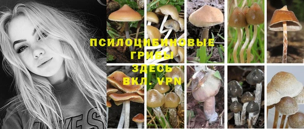 СК Волоколамск