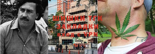 СК Волоколамск